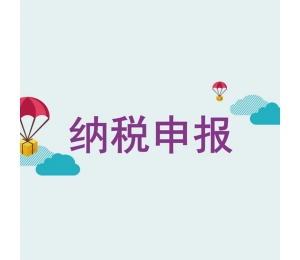 哈爾濱納稅申報(bào)